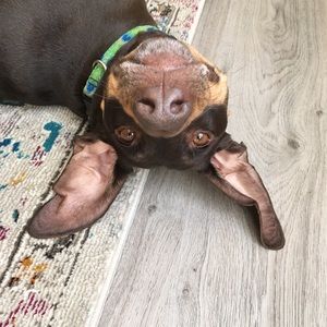 Meet your Posher, Violet